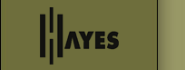 Hayes Guitars