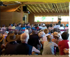 Ellis in the Wildflower