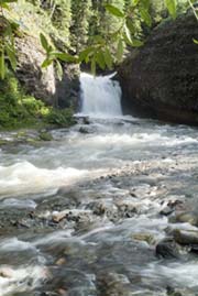 Bear Creek in Telluride's Town Park