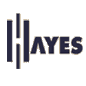 Hayes Guitars