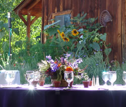 Weddings at Planet Bluegrass (photo: Cal Cheney)