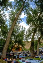 Relaxing in the shade at the Folks Fest 