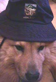 Elevation 8.750 Fishing Hat Blue