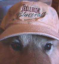 Telluride Bluegrass Baseball Hat - Khaki