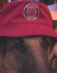 Telluride Bluegrass Fishing Hat - Stamp - Red