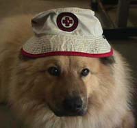 Acoustic Rescue Bucket Hat